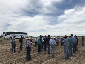 Bellevue Pastoral Co. Tocal Agricultural College 2017